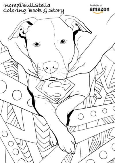 SuperStelly_Image-min SuperStelly_Image-min