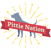 pittie_nation pittie_nation