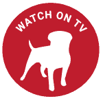 watchtv watchtv