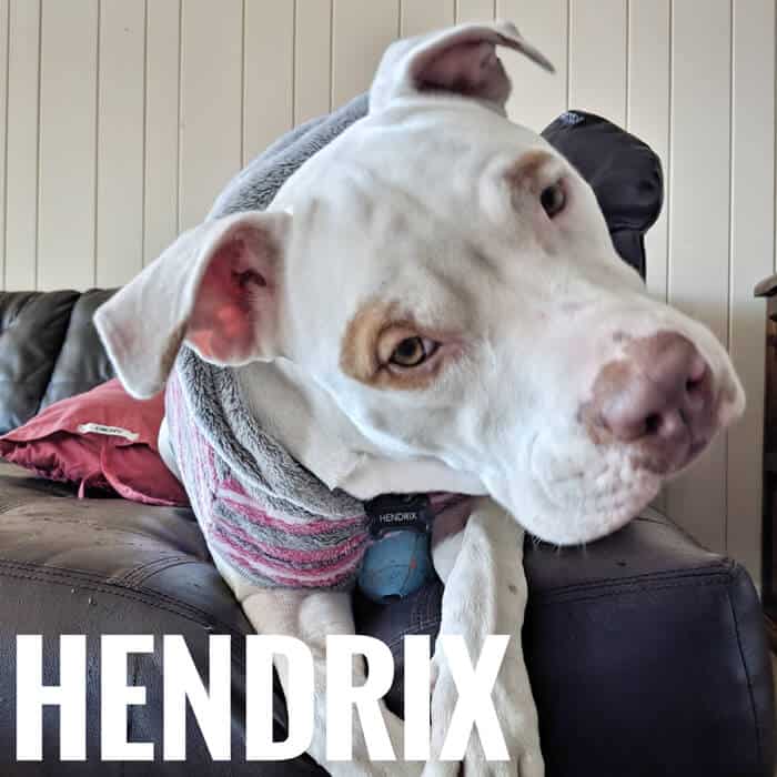 Hendrix Hendrix