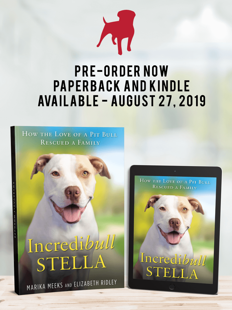 Book and Kindle Book and Kindle